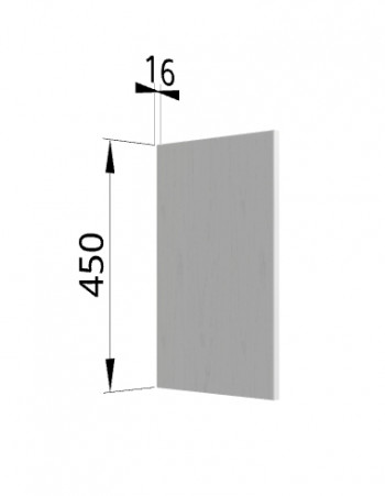 Панель торцевая (для шкафа горизонтального высокого) ВПГ Ройс (Графит софт) в Улыбино - ulybino.mebel54.com | фото